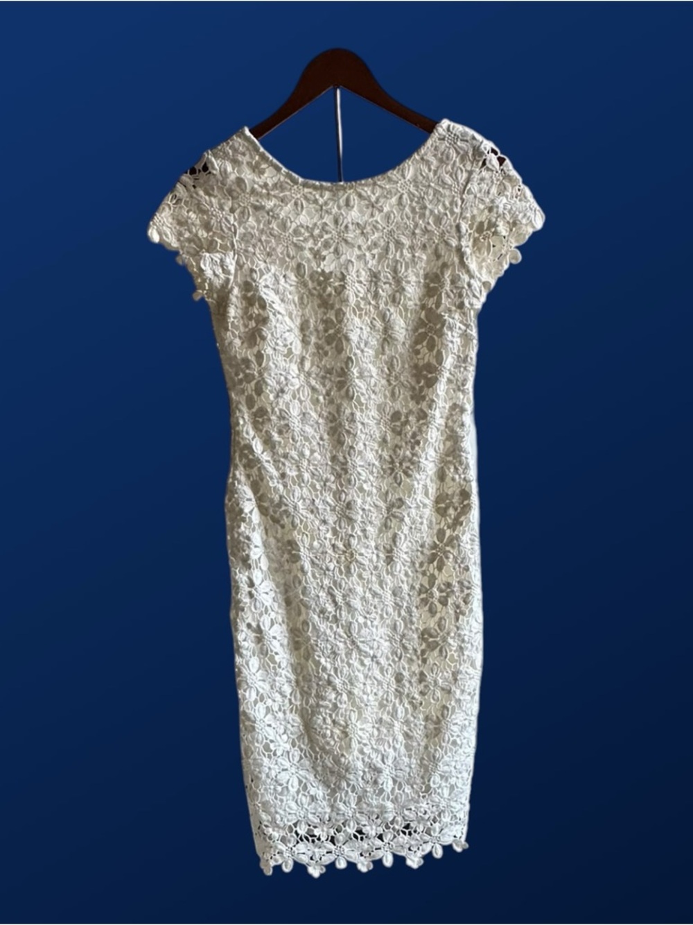 Cache Ivory Lace Sheath Dress Size 4 Elegant Cap Sleeve Wedding Guest Cocktail